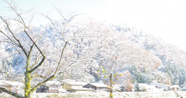 初積雪ですっかり別世界~今年もいよいよ冬がやってきた~