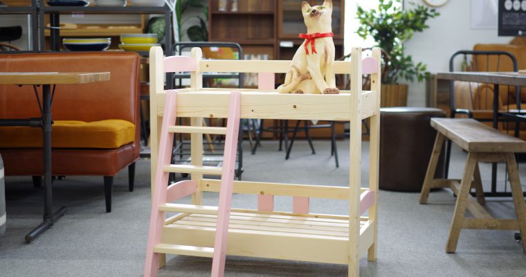 え！猫専用ベッド！？ネコのお昼寝や遊び場にもなる２段・３段ベッドが入荷しました！